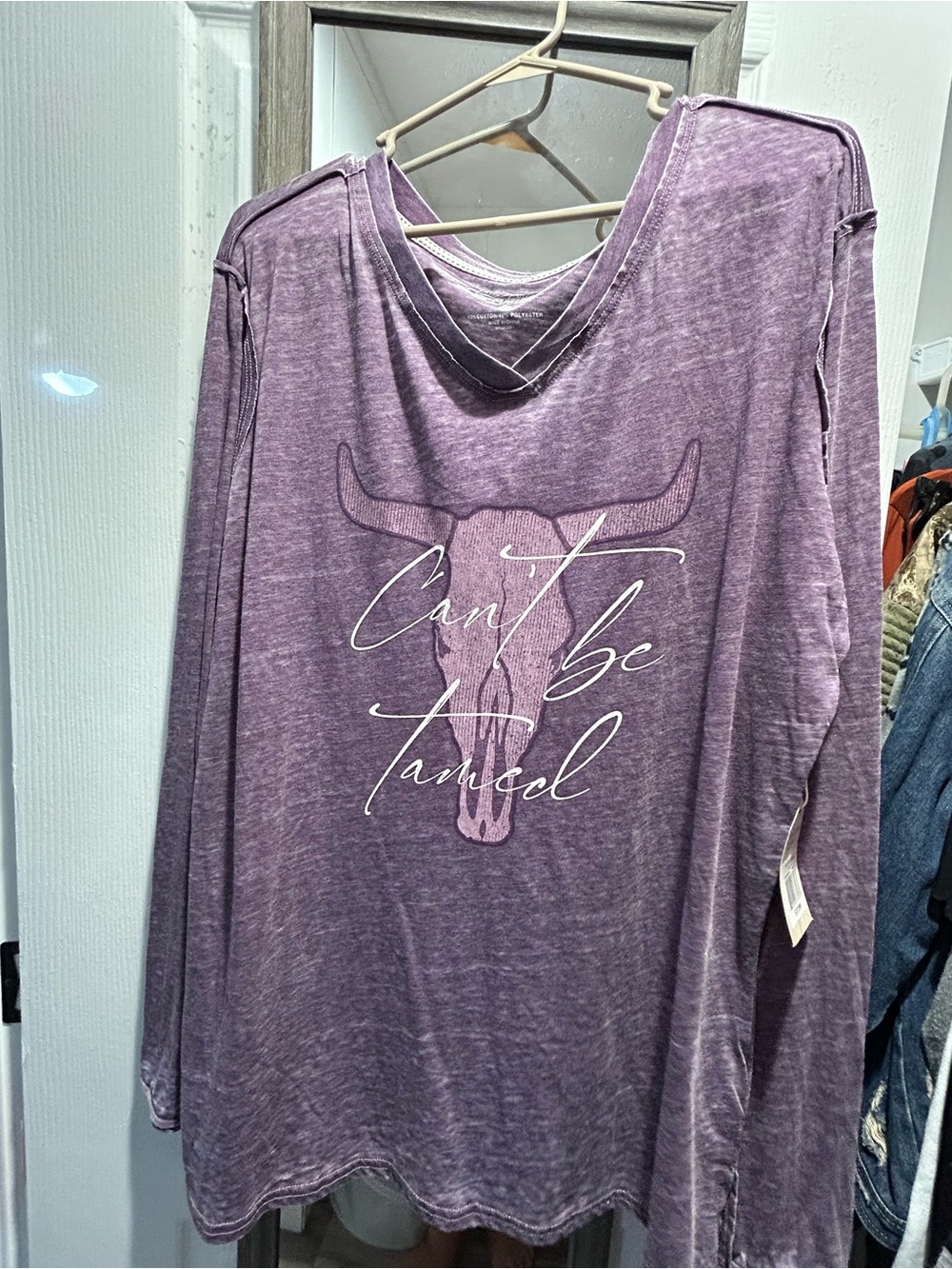 Purple Graphic Long Sleeve Tee - "Can't Be Tamed"